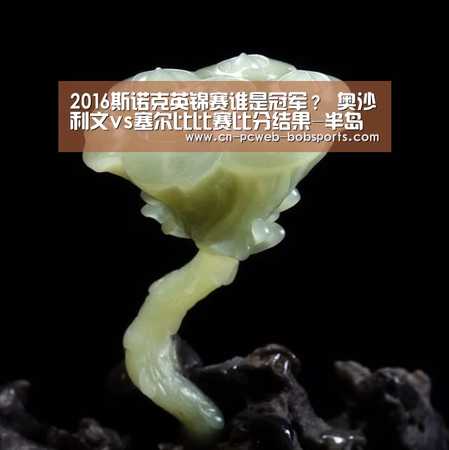 2016斯诺克英锦赛谁是冠军? 奥沙利文vs塞尔比比赛比分结果-半岛体育注册(图2) 半岛体育注册