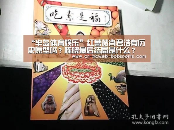 “半岛体育娱乐”红蔷薇肖君浩有历史原型吗?陈晓最后结局是什么?(图1) 半岛体育网址