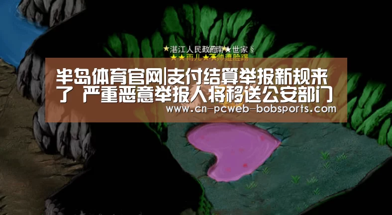 半岛体育官网|支付结算举报新规来了 严重恶意举报人将移送公安部门(图2) 半岛体育