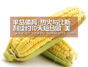 半岛体育网址