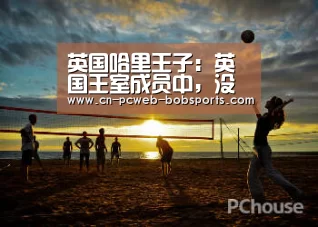 英国哈里王子:英国王室成员中,没人想成为国王或女王‘半岛体育官网’(图1) 半岛体育网址