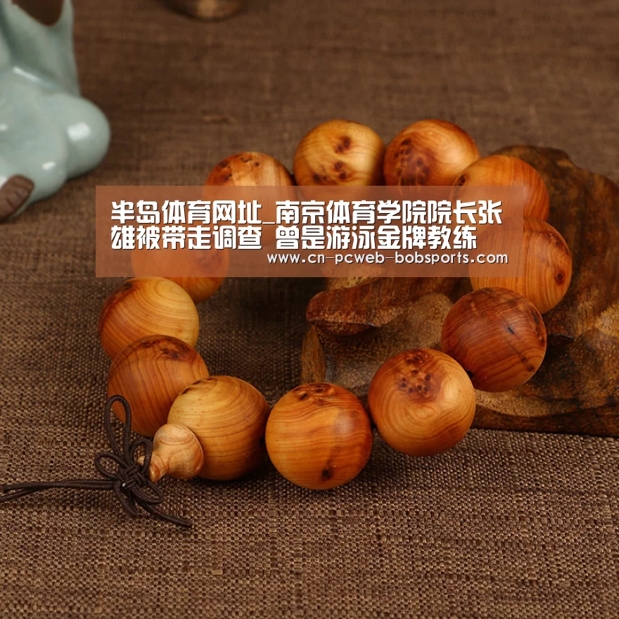 半岛体育网址_南京体育学院院长张雄被带走调查 曾是游泳金牌教练(图3) 半岛体育注册