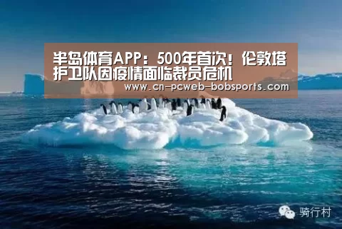 半岛体育网址