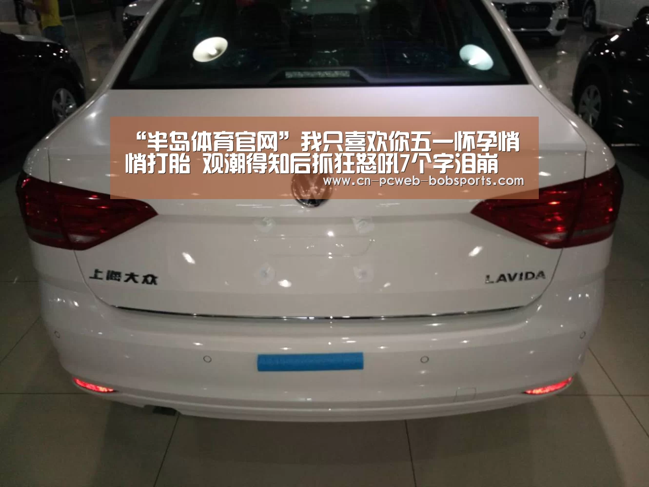 半岛体育娱乐