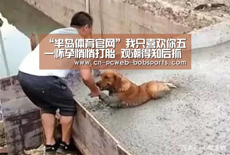 半岛体育