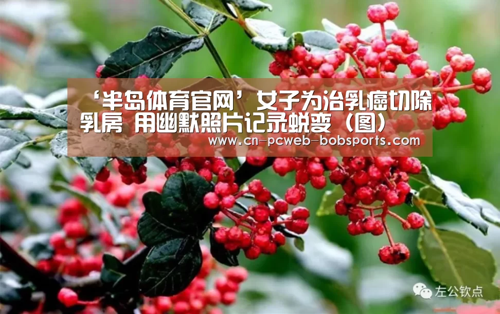 ‘半岛体育官网’女子为治乳癌切除乳房 用幽默照片记录蜕变(图)(图2) 半岛体育注册