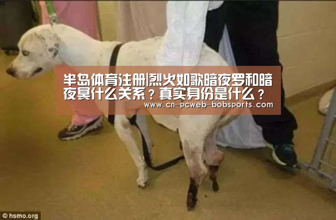 半岛体育注册|烈火如歌暗夜罗和暗夜冥什么关系?真实身份是什么?(图1) 半岛体育下载