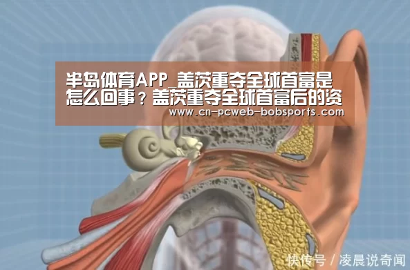 半岛体育APP_盖茨重夺全球首富是怎么回事?盖茨重夺全球首富后的资产是多少?(图1) 半岛体育APP