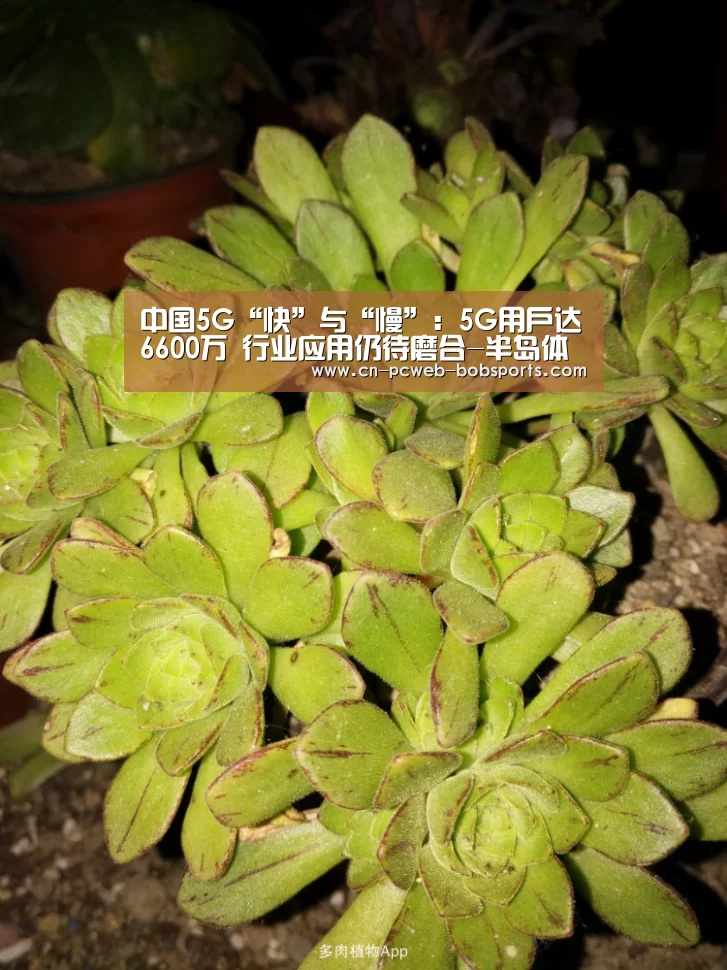 半岛体育官网