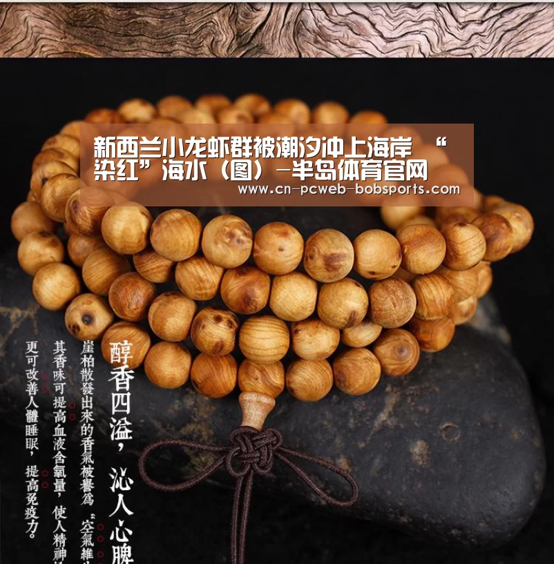 半岛体育APP