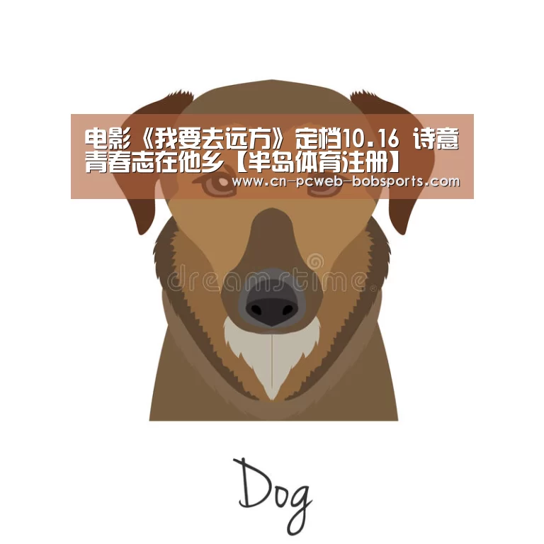 半岛体育官网
