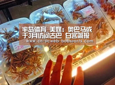 半岛体育_美媒:奥巴马或于3月访问古巴 白宫简报将做声明(图)(图4) 半岛体育APP