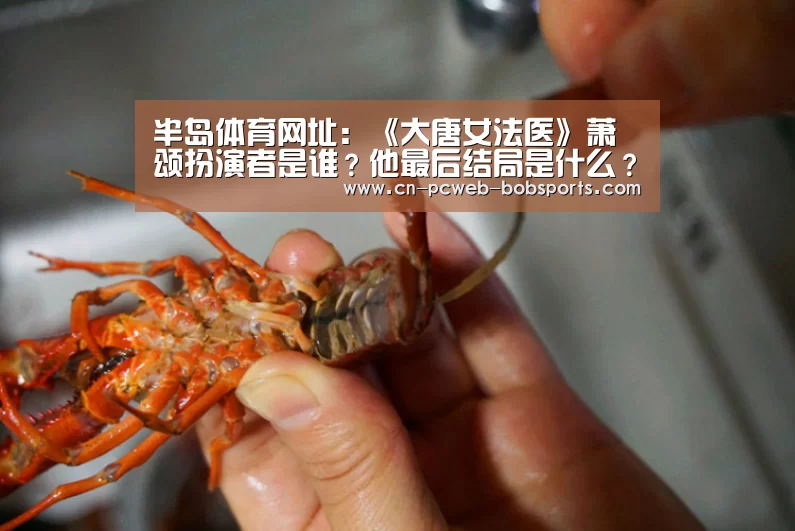 半岛体育APP