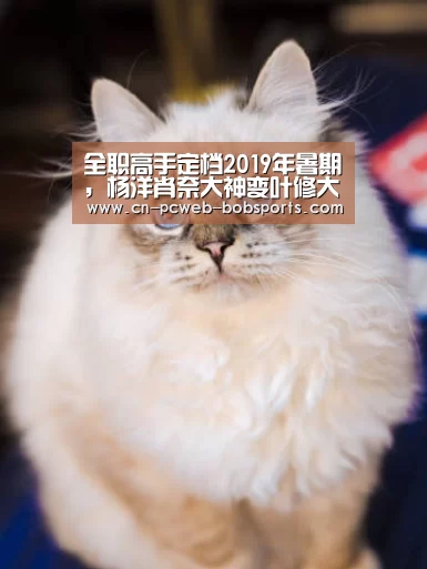 全职高手定档2019年暑期,杨洋肖奈大神变叶修大神:半岛体育网址(图1) 半岛体育注册