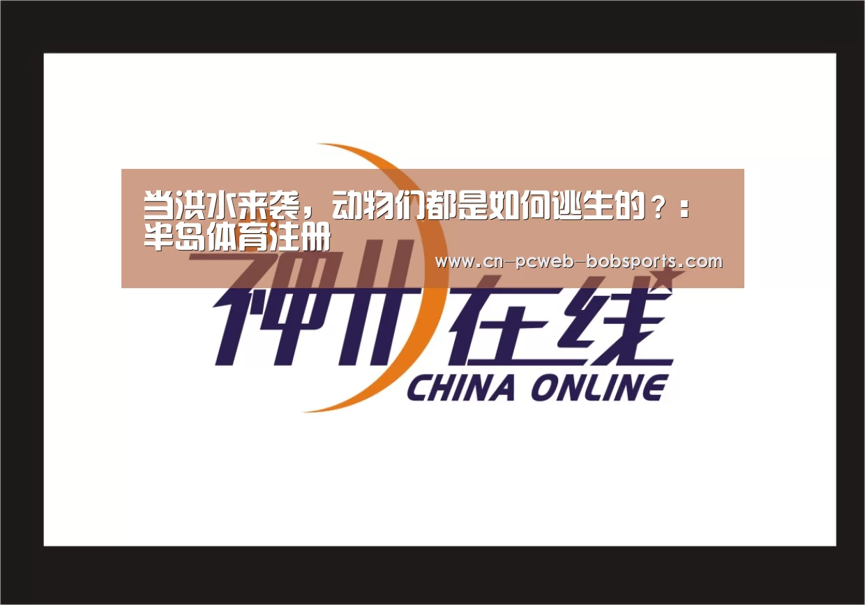 半岛体育娱乐