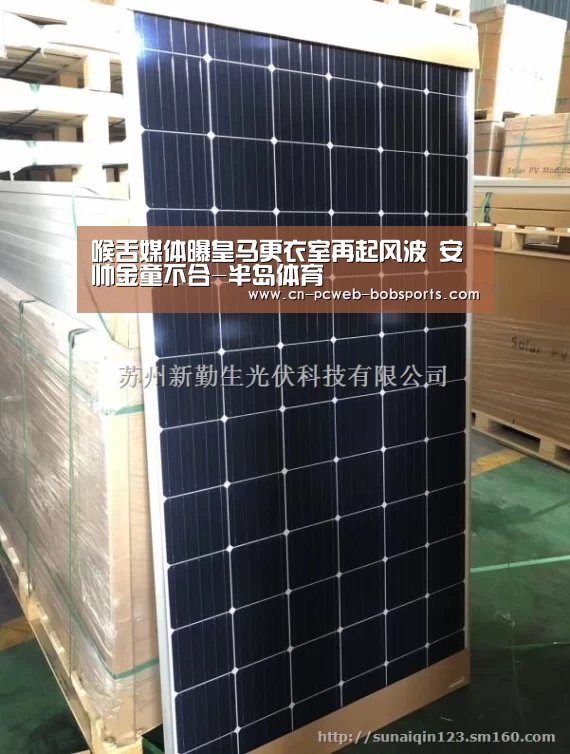 喉舌媒体曝皇马更衣室再起风波 安帅金童不合-半岛体育(图2) 半岛体育