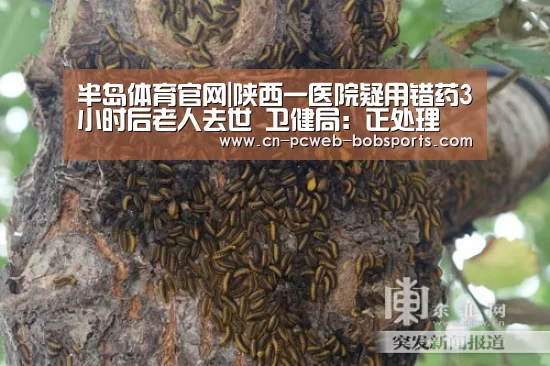 半岛体育官网|陕西一医院疑用错药3小时后老人去世 卫健局:正处理(图1) 半岛体育
