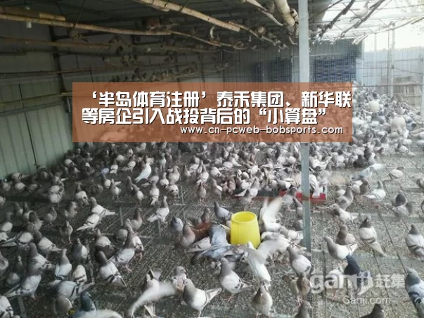‘半岛体育注册’泰禾集团、新华联等房企引入战投背后的“小算盘”(图1) 半岛体育APP