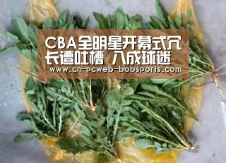 CBA全明星开幕式冗长遭吐槽 八成球迷称“已睡着”_半岛体育APP(图1) 半岛体育APP
