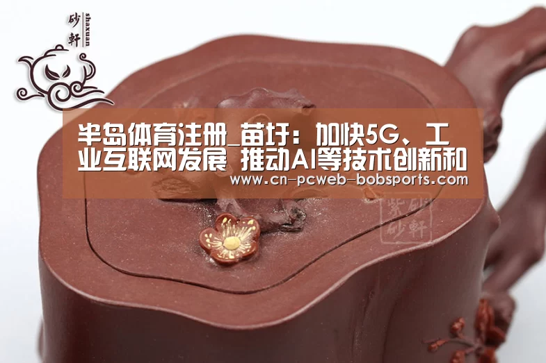 半岛体育注册_苗圩:加快5G、工业互联网发展 推动AI等技术创新和融合应用(图1) 半岛体育娱乐