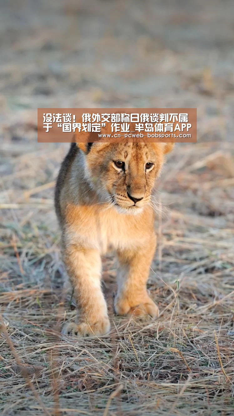 半岛体育下载