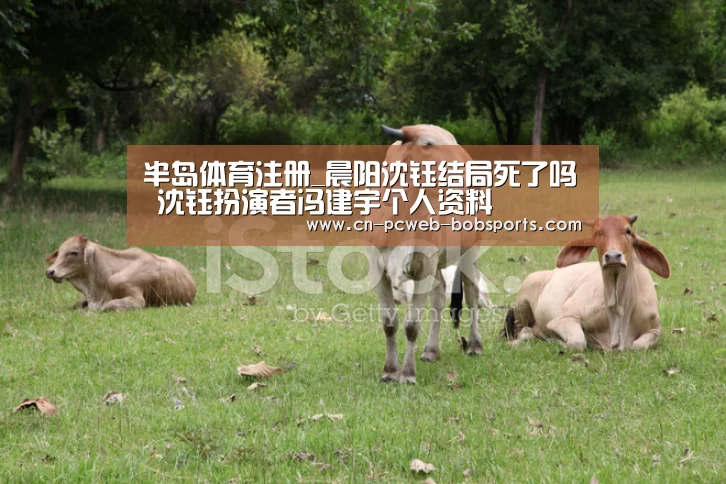 半岛体育娱乐
