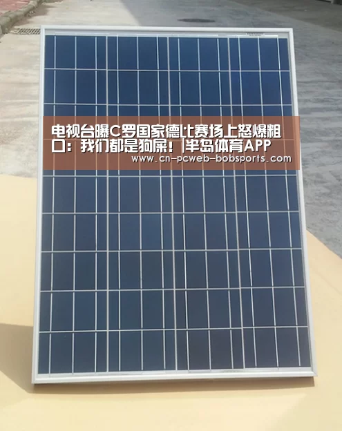 电视台曝C罗国家德比赛场上怒爆粗口:我们都是狗屎!|半岛体育APP(图3) 半岛体育下载