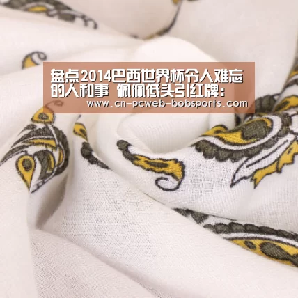 盘点2014巴西世界杯令人难忘的人和事 佩佩低头引红牌:半岛体育注册(图1) 半岛体育娱乐