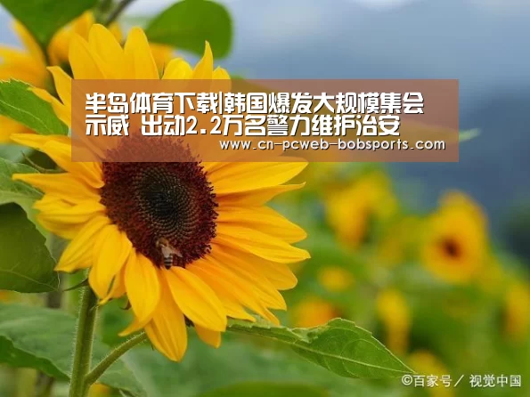 半岛体育下载|韩国爆发大规模集会示威 出动2.2万名警力维护治安(图3) 半岛体育注册