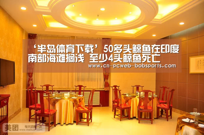 ‘半岛体育下载’50多头鲸鱼在印度南部海滩搁浅 至少4头鲸鱼死亡(图1) 半岛体育下载