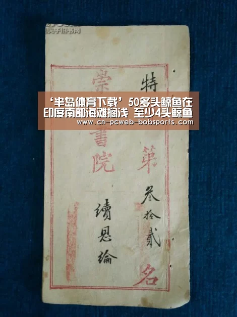 ‘半岛体育下载’50多头鲸鱼在印度南部海滩搁浅 至少4头鲸鱼死亡(图2) 半岛体育娱乐