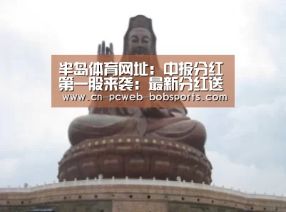 半岛体育网址:中报分红第一股来袭:最新分红送转潜力股请收藏 仅12只(图4) 半岛体育APP
